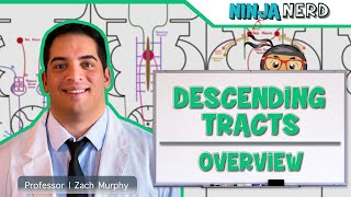 Neurology  Descending Tracts Overview [upl. by Inalaek]