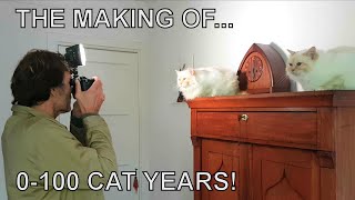 Alvi cat  the making of 0  100 Cat Years [upl. by Lockwood]