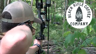 Total Archery Challenge 7 Springs  BRCC Course [upl. by Sevik]