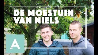 De Moestuin van Niels  Grow Cook Eat 71 [upl. by Yerfoeg]