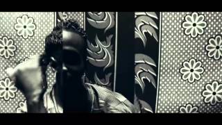 Navy Kenzo  Chelewa Bokodo Official Video African Music  African Song  Tanzania [upl. by Casilde]