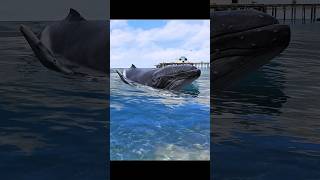 Supermans son became Dangerous Whale👹shorts gta5 [upl. by Halladba]