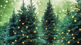 3 Hours of Relaxing Christmas Music radioharmonix christmasmusic [upl. by Yahska]