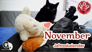 Jahreskalender November  Sockenwolle  Maschenschäfchen [upl. by Shih760]