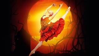 Don Quixote trailer The Royal Ballet [upl. by Roseanne]