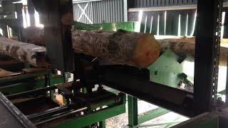 AE Gibson amp Sons Optimising Twin Saw Log Edger Sawmilling Equipment amp Machinery [upl. by Engud]