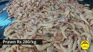 Vanagaram fish marketபெரிய போட் காசிமேட்டுல போக ஆரம்பிச்சா வானகரத்தில மீன் விலை குறையுமா [upl. by Legnaleugim899]