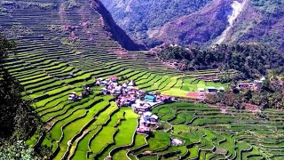 Rice Terraces of Ifugao Philippines  Banaue Batad and Cambulo [upl. by Nenney299]