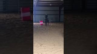 2017 Barrel Racing Clinic w Holly Longest  Jettin Bye Farm [upl. by Barcus]