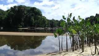 Suriname 2013 episode Danpaati [upl. by Qooraf]