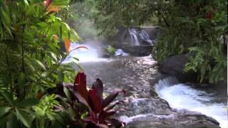 Discover Costa Rica [upl. by Cogn]