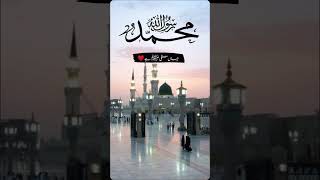 12 rabii awal special vid viral short video officialaccount loveallah [upl. by Nylasej]