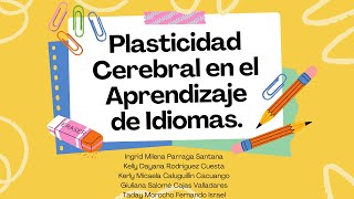 Plasticidad Cerebral en el Aprendizaje de Idiomas [upl. by Cheatham]