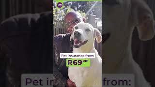 OUTsurance Pet  Thai [upl. by Pease]