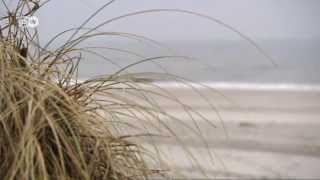 Die Nordseeinsel Sylt im Winter  Euromaxx [upl. by Nyrhtak]