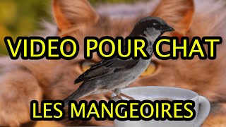 Video pour chats  Oiseaux  Les mangeoires [upl. by Baird940]