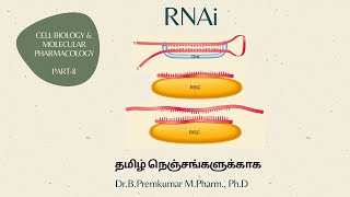 RNAi RNA Interference  CBMP  Part 8  Tamil [upl. by Telimay918]