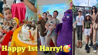 McDonalds Madagascar Birthday Party of Harry Peter  Zafari Birthday Theme w Dono amp Shakira💕 [upl. by Amero]