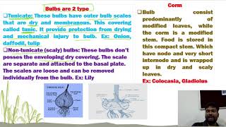 Asexual propagation Natural propagation part1 [upl. by Melton]