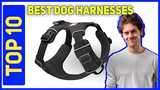 Best Dog Harnesses in 2023 Top 10 Dog Harnesses [upl. by Lerat]