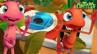 Phone a Friend  😄🐜 Antiks Adventures  Joey and Boos Playtime [upl. by Dun870]