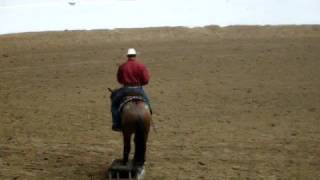 2008 Extreme Mustang Makeover Finalist David Carter and Silverado [upl. by Aitercul935]