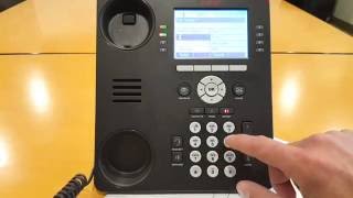 Basic Call Handling with your Avaya IP Office Phone [upl. by Shull]