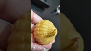 modak treanding cooking lovelysaini shorts youtubeshorts [upl. by Auhesoj]