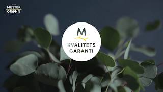 Kvalitetsgaranti på alle blomster og planter [upl. by Atselec]