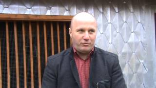 Oprea Florentin UCPR Dambovita prezentare porumbei campioni 22 nov 2014 part 1 [upl. by Goldarina]