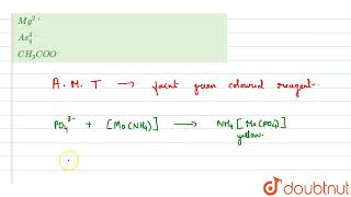 Ammonium molybdate test is used for the estimation of  12  QUALITATIVE ANALYSIS PART 1  CHEM [upl. by Nedyrb]