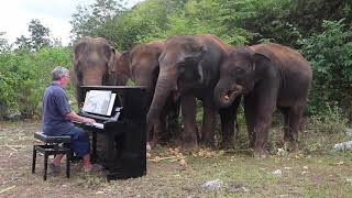 Beethoven quotPastoral Symphony on Piano for Elephantsquot [upl. by Hoban292]