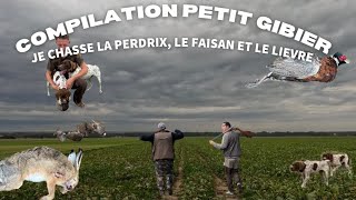 Chasse compilation petit gibiersaison 2024 [upl. by Nenney]