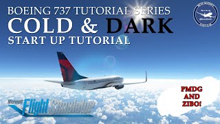 Boeing 737 Cold and Dark Startup Tutorial  Boeing 737 Tutorial Series Part 1 [upl. by Nnair]