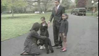 President Obama and His Family Have Welcomed a New Addition to the White House  Their Dog Bo [upl. by Enitsuga]