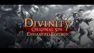 Divinity Original Sin Enhanced Edition Trailer [upl. by Assitruc335]