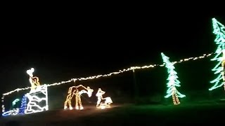 Christmas Tree Farm and Christmas Light Hayride Southern California December 2023 Los Angeles area [upl. by Sapphire]