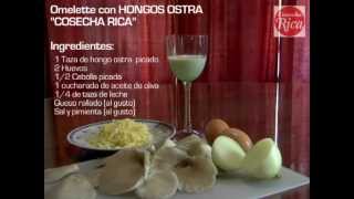 Cosecha Rica Receta de Omelette de Hongos Ostramov [upl. by Ecyar110]