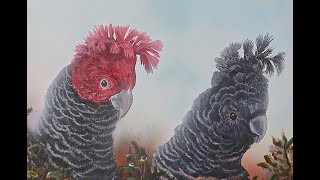 Painting Cockatoos the Ganggang [upl. by Enram629]