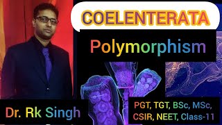 Polymorphism in Coelenterates For PGT TGT BSc MSc CSIR NEET amp Class11 [upl. by Teik]