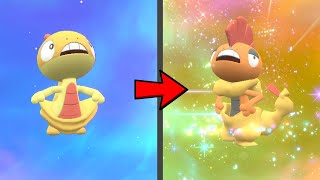 How to Evolve Scraggy into Scrafty in Pokemon Scarlet amp Violet DLC [upl. by Delamare]