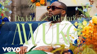 Davido YG Marley  Awuke Official Video [upl. by Wilhide]