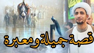 الجهل بالتدبير  الشيخ علي المياحي [upl. by Llerihs]