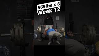 Week 12  565lbs x 8  Julius Maddox  Bench Press [upl. by Jacie]