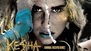 Kesha  Cannibal Reclipse Remix [upl. by Arracat]