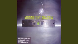 Moonlight Shadow Original Mix [upl. by Oiznun]