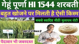 गेहूं wheat variety पूर्णा HI 1544 शरबती बहुत खोजने पर मिलती है ऐसी किस्म सबसे स्वादिष्ट मीठी रोटी [upl. by Nosnej]