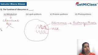 Ribosomes functions [upl. by Ijneb225]