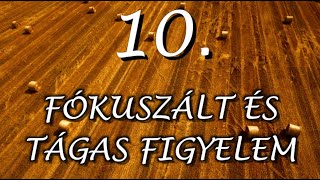 10 FÓKUSZÁLT ÉS TÁGAS FIGYELEM tudatos jelenlét meditáció Dr PerczelForintos Dórával [upl. by Spragens]