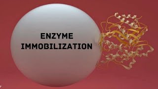 Enzyme Immobilization [upl. by Niall]